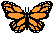 butterfly05.gif